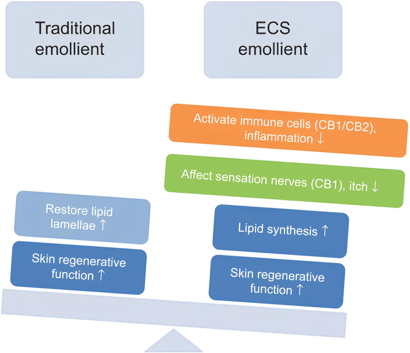 Canabinoides no tratamento do eczema e prurido crônico 2 Comparação entre o emoliente tradicional e o emoliente PEA/AEA. Em comparação com o emoliente tradicional, o emoliente PEA/AEA pode controlar simultaneamente as funções “passivas” e “ativas” da pele, incluindo a regeneração da pele e a restauração das lamelas lipídicas, a sensibilidade da pele e a competência imunológica. Fonte: Yuan C., Wang X.M., Guichard A., Tan Y.M., Qian C.Y., Yang L.J., Humbert P. N-palmitoylethanolamine and N-acetylethanolamine are effective in asteatotic eczema: Results of a randomized, double-blind, controlled study in 60 patients. Clin. Interv. Aging. 2014;9:1163–1169. doi: 10.2147/CIA.S65448.