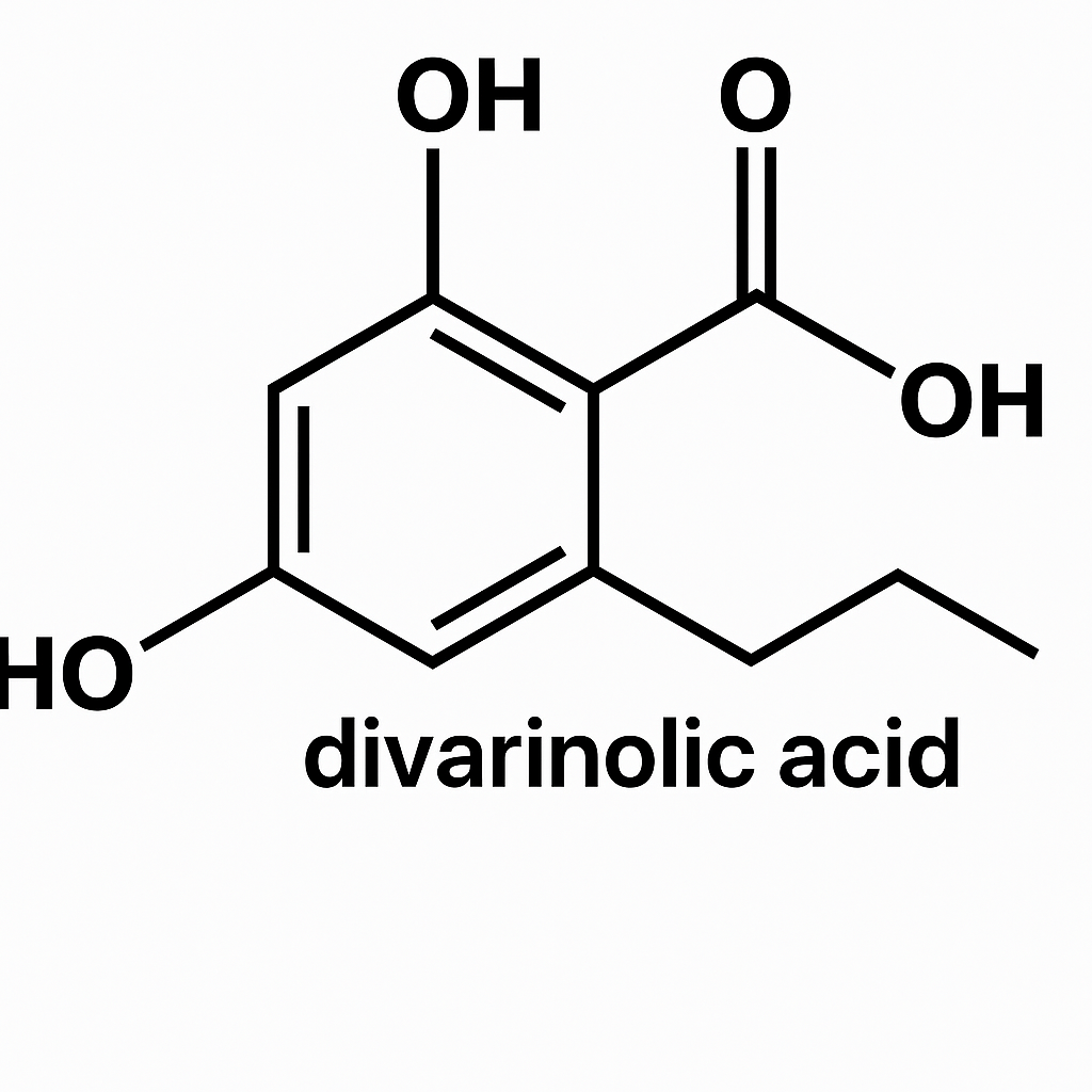Ácido Divarinólico: A chave para o futuro dos canabinoides na medicina 1 Estrutura química do ácido divarinólico