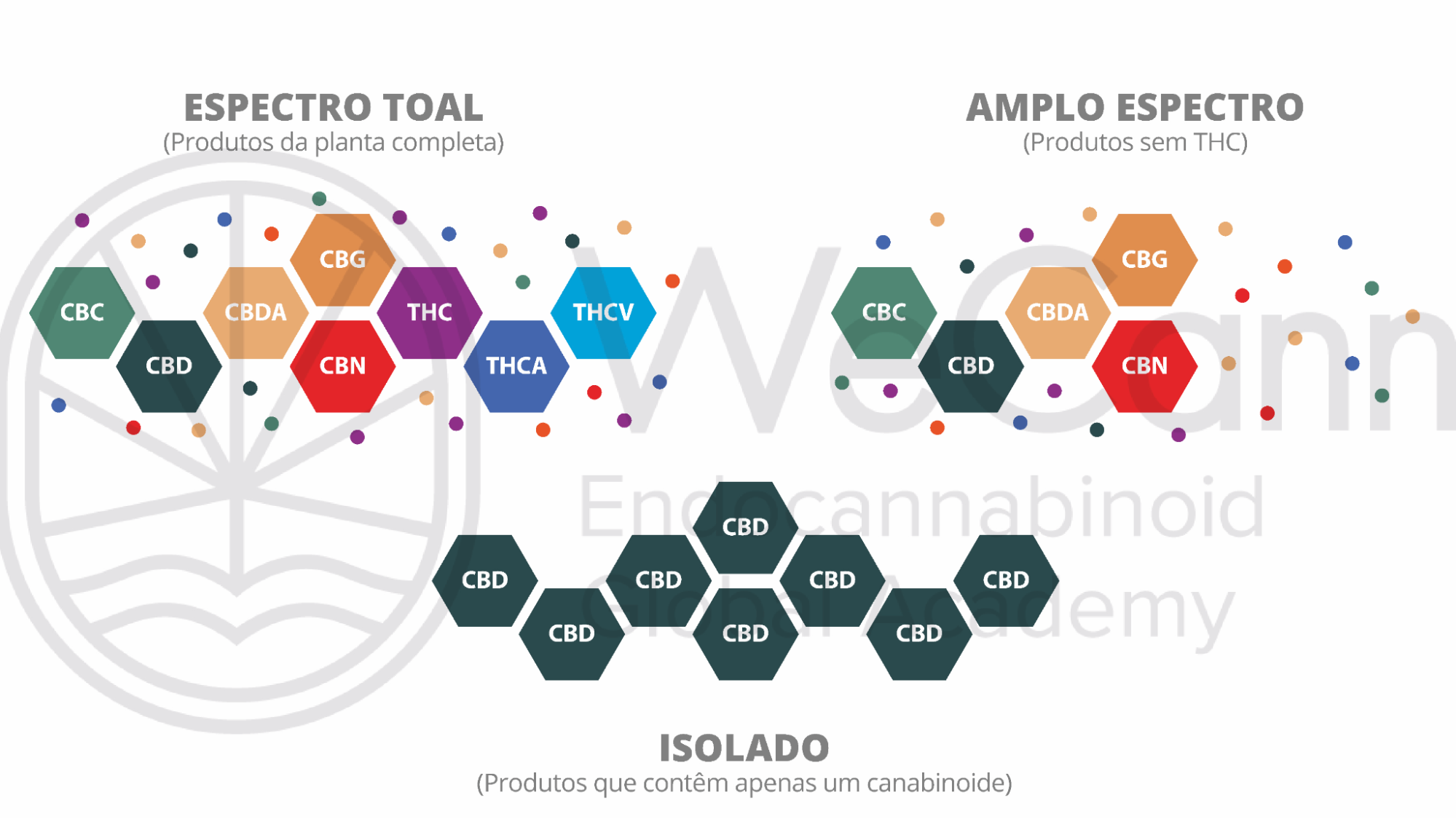 Cannabis medicinal: Tudo que o médico precisa saber para prescrever com confiança 1 A compreensão da diferença entre esses tipos de extratos é crucial para personalizar o tratamento, otimizando os resultados terapêuticos e minimizando os riscos para o paciente.