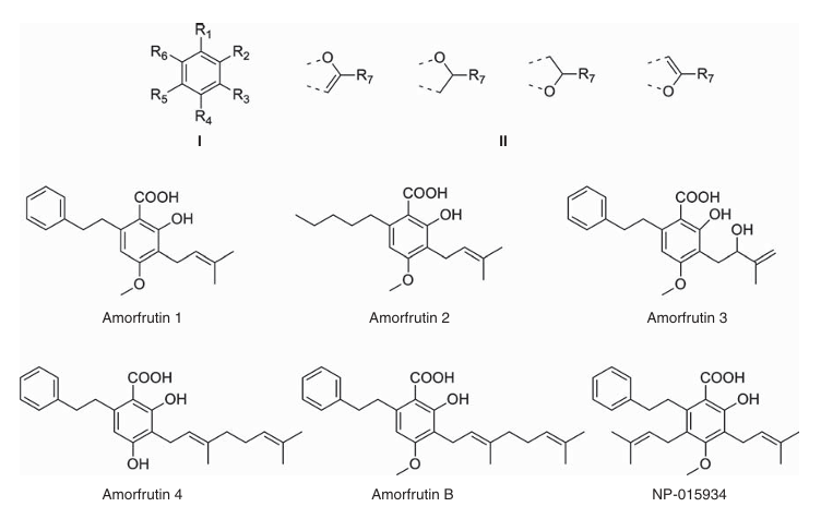 Amorfrutinas e seus efeitos metabólicos 1 Estruturas das amorfrutinas. Sauer S. Amorfrutins: A promising class of natural products that are beneficial to health. Chembiochem. 2014 Jun 16;15(9):1231-8. doi: 10.1002/cbic.201402124. Epub 2014 Jun 4. PMID: 24899548.