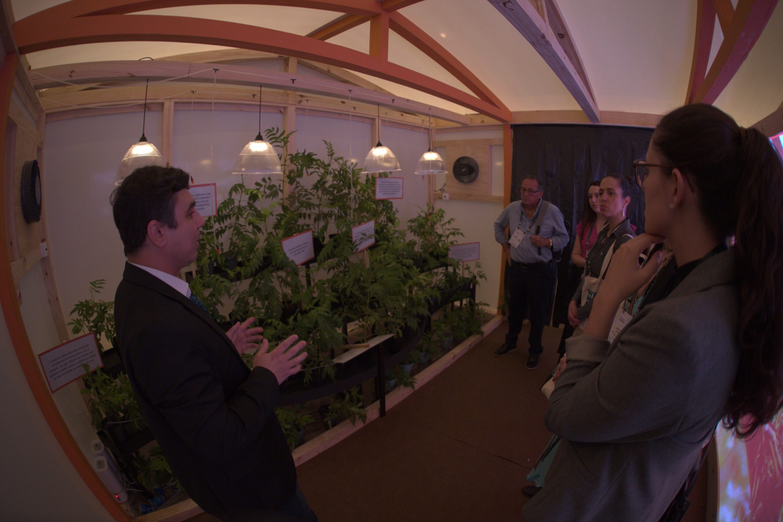 Resumo do Segundo Dia do WeCann Summit 2024 – Sexta-feira, 25 de Outubro 5 Simulação de Estufa de Cannabis apresentada durante a feira