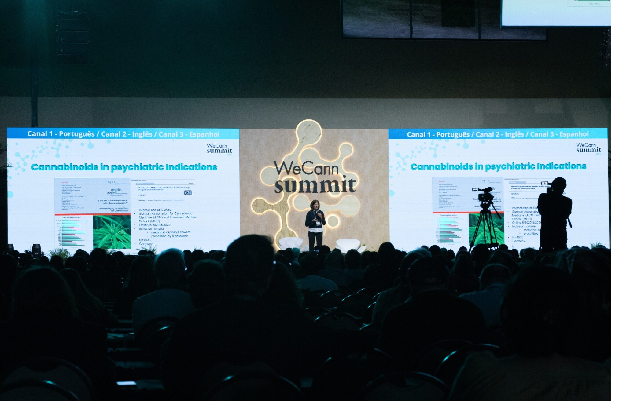 Resumo do Primeiro Dia do WeCann Summit 2024 – Quinta-feira, 24 de Outubro 2 Sessão na plenária Raphael